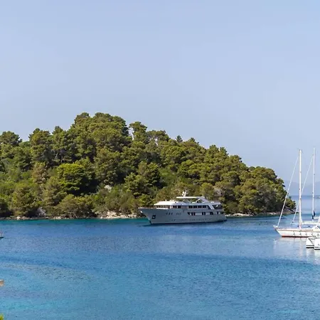 Corallium Διαμέρισμα Pomena